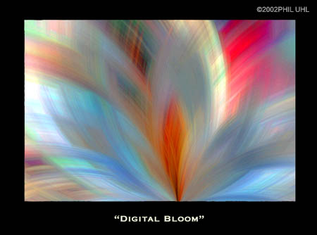Digital Bloom