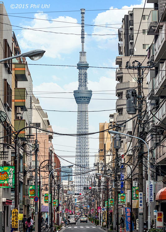 Sky Tree Phil Uhl